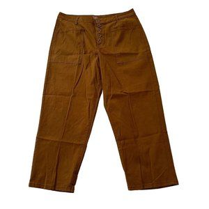 Time and True Pants Women's 18 Brown High Rise Button Pockets Stretch 38x27